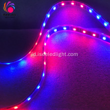 Landscape Fleksibel DMX RGB Rope Lighting